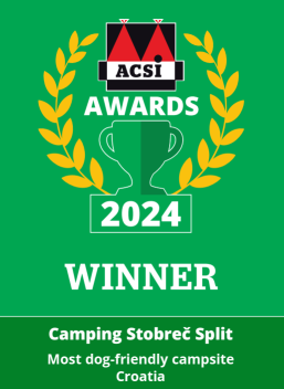 ACSI Awards 2024